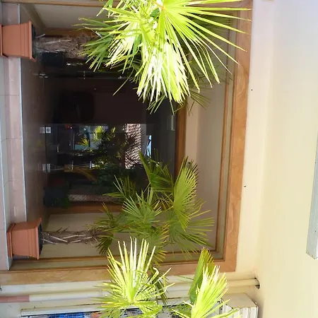 Hotel Phoenix Family 3*